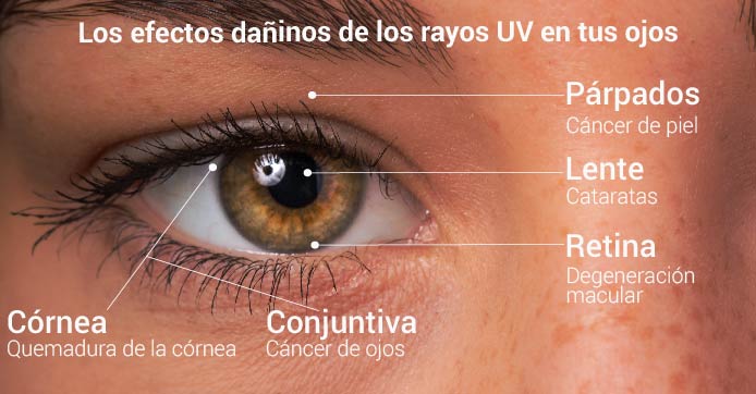 Los efectos dañinos de los rayos UV en tus ojos