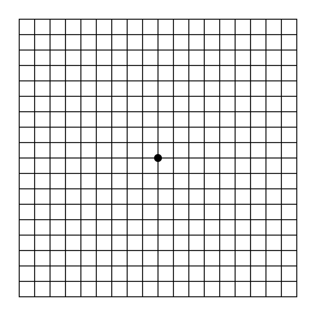 amsler grid