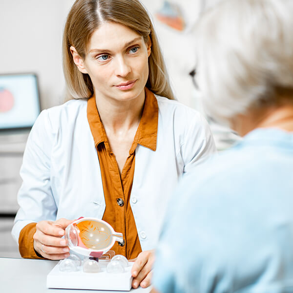 medico che fornisce consulto per terapia contro palpebre gonfie o blefarite mostrando al paziente un modello anatomico di occhio