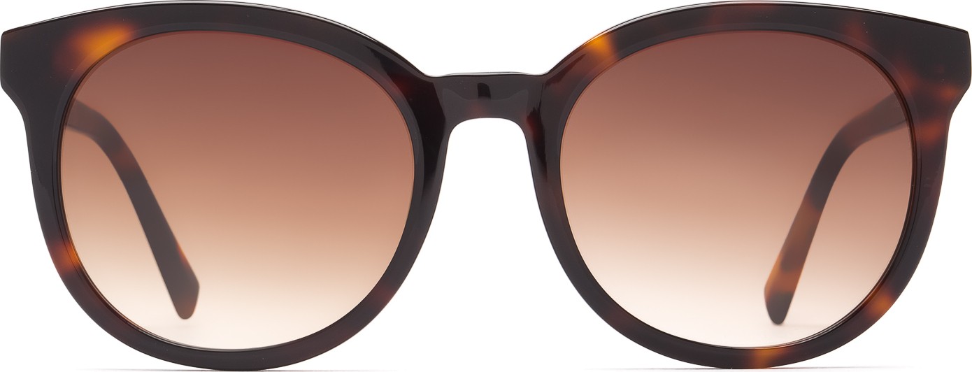 Gafas sales hawkers carey