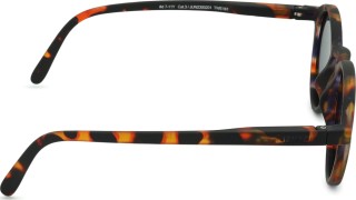 Izipizi Sun Junior #D Tortoise (for age 7 - 11 years)
