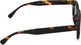 Izipizi Sun Kids #C Tortoise (for age 5–7 years) 47185
