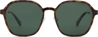Polaroid PLD 6183/CS 06J 56 (clip-on)