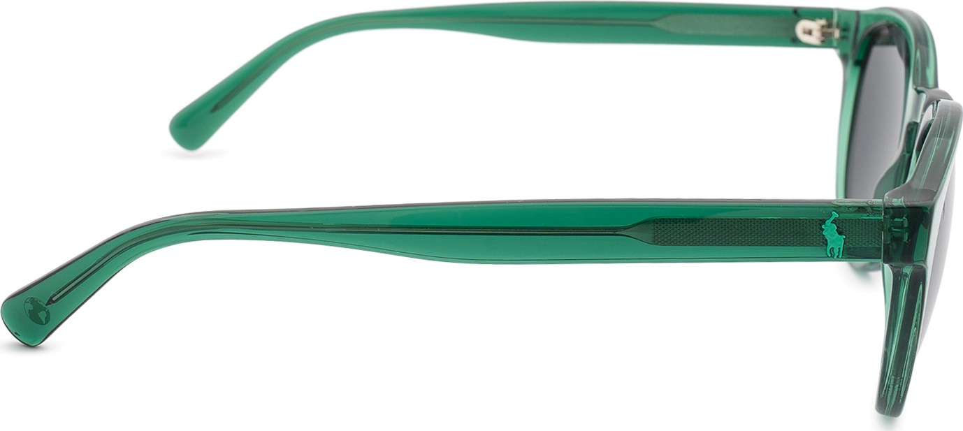 Polo Ralph Lauren 0PH 4192 608487 51 – Sunglasses | Lentiamo