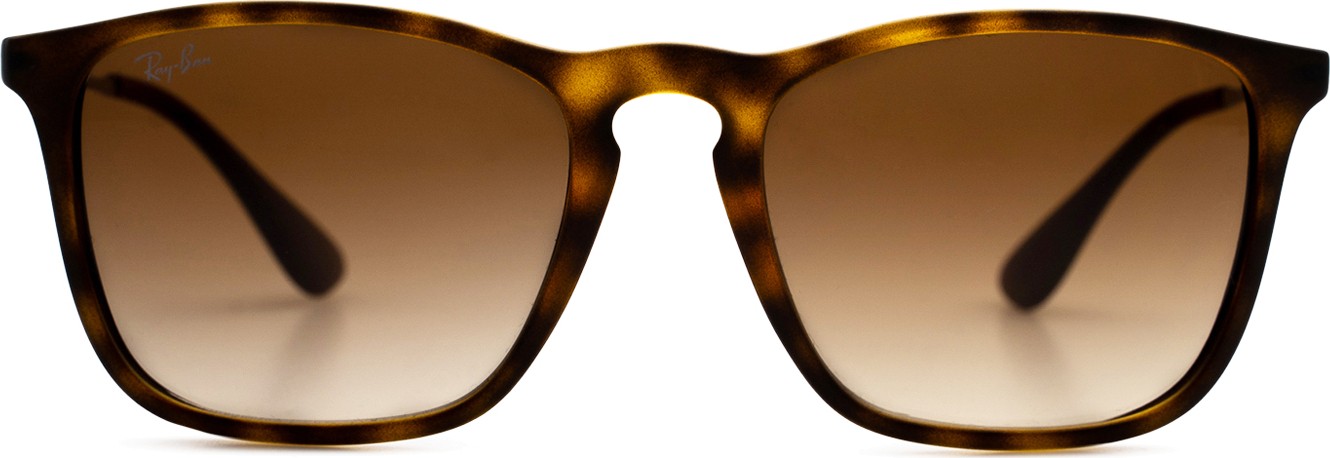 Ray ban wayfarer shop verte
