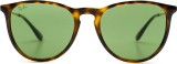 Ray-Ban Erika RB4171 6393/2 54 9457