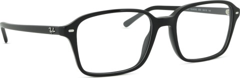 Ray-Ban Raimond 0RX5431 2000 54