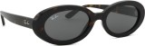 Ray-Ban RB2223 902/B1 54