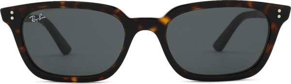 Ray-Ban Zaya RB4456 135987